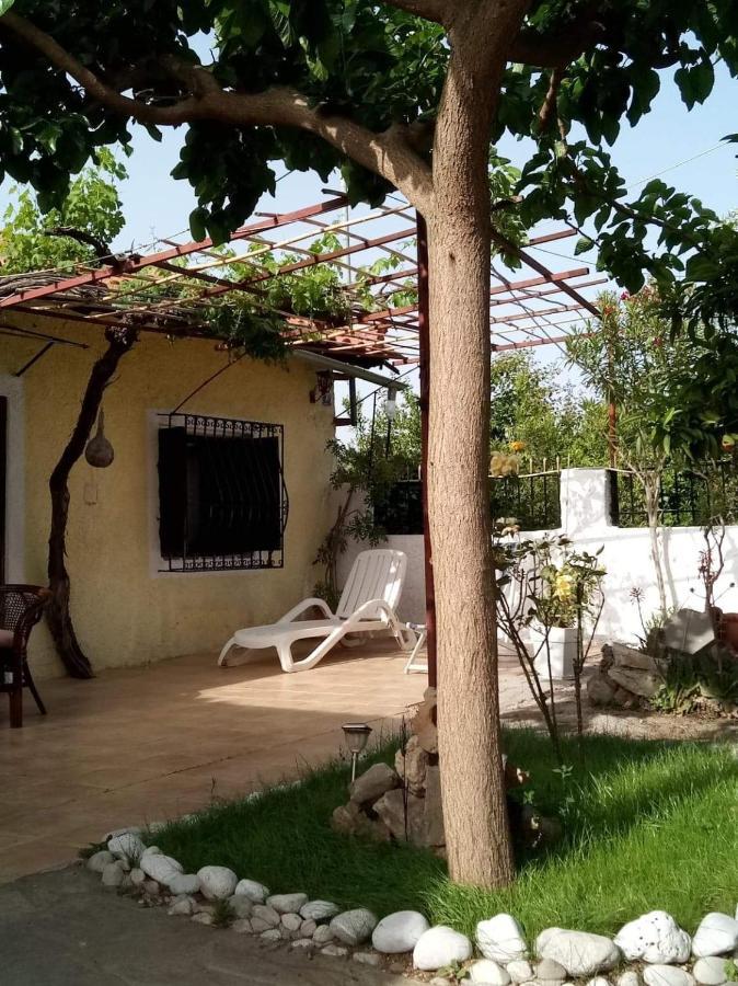 Villa Panos And Chrisas House Drepano  Exterior foto